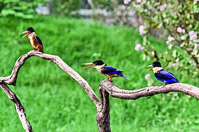 2024年才刚开始《毁灭全人类》开发商裁员近一半